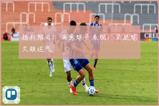 扬科维奇：满意球员表现，没进球欠缺运气