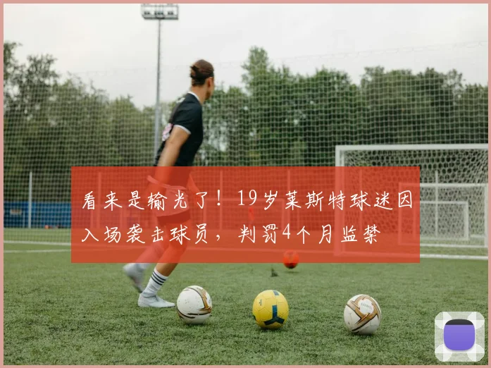 看来是输光了！19岁莱斯特球迷因入场袭击球员，判罚4个月监禁